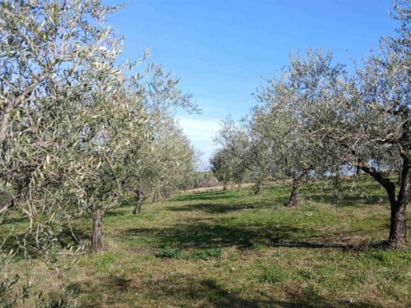 terreno agricolo in vendita a Rimini in zona Grotta Rossa