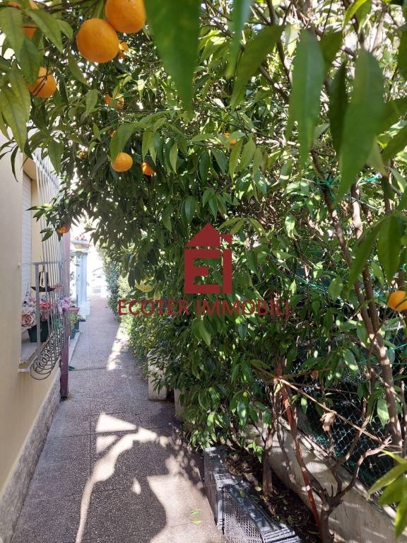 casa indipendente in vendita a Rimini in zona Bellariva