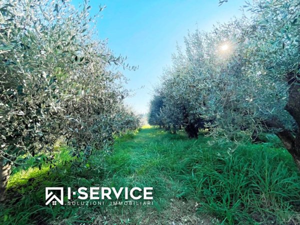 terreno agricolo in vendita a Rimini in zona Gaiofana