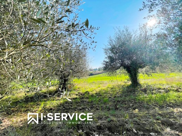 terreno agricolo in vendita a Rimini