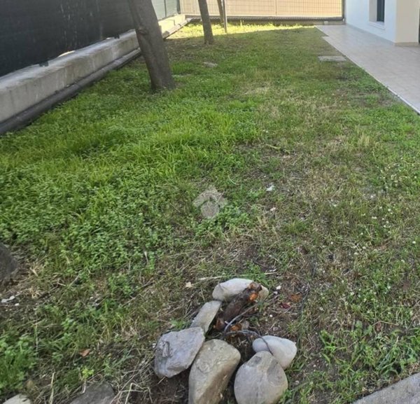 appartamento in vendita a Rimini in zona Torre Pedrera