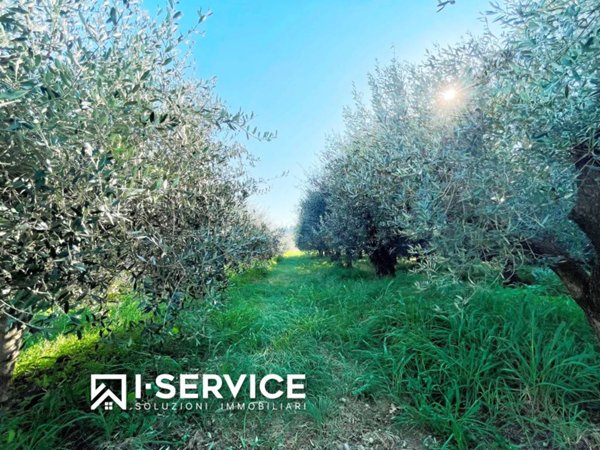 terreno agricolo in vendita a Rimini in zona Gaiofana
