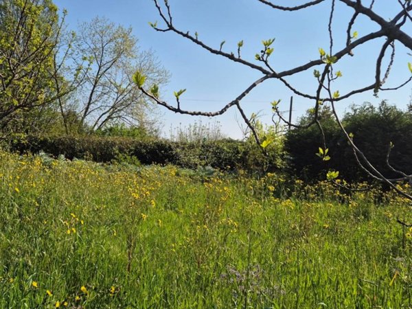terreno agricolo in vendita a Rimini
