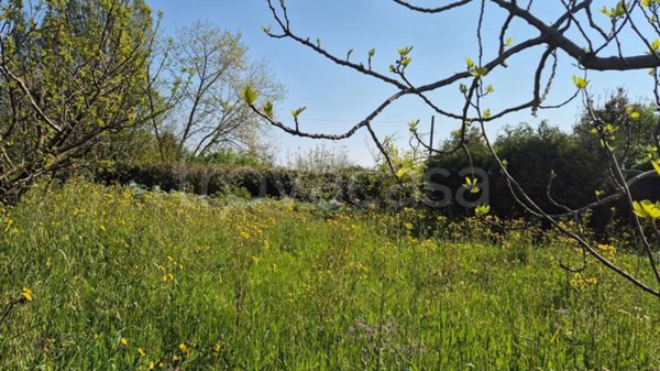 terreno agricolo in vendita a Rimini