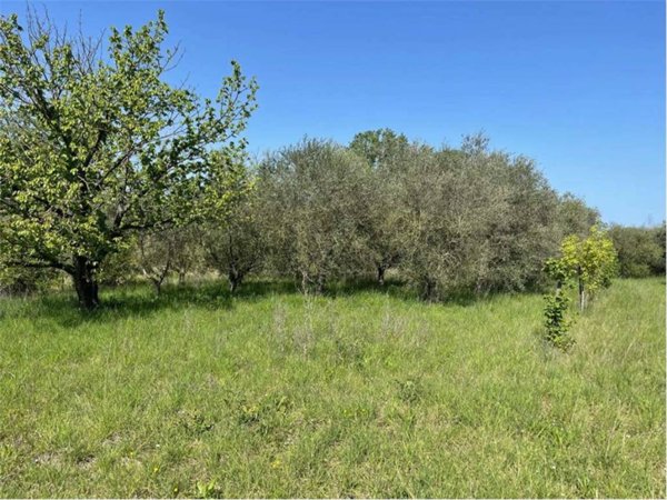 terreno agricolo in vendita a Rimini in zona Gaiofana