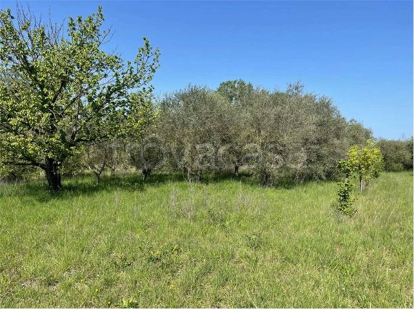terreno agricolo in vendita a Rimini in zona Gaiofana
