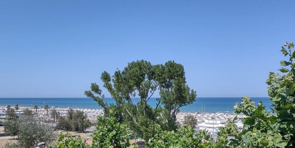 negozio in vendita a Rimini in zona Rivazzurra