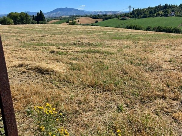 terreno agricolo in vendita a Rimini in zona Gaiofana