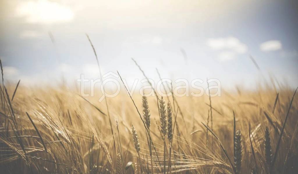 terreno agricolo in vendita a Rimini in zona San Paolo
