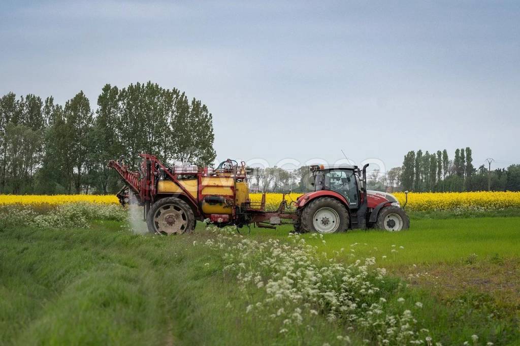 terreno agricolo in vendita a Rimini in zona Spadarolo