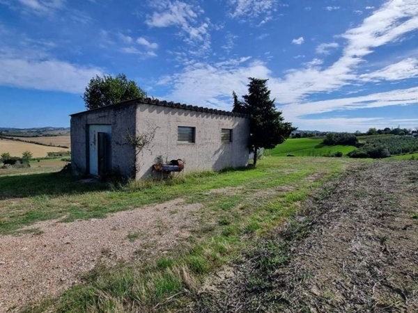 terreno agricolo in vendita a Saludecio