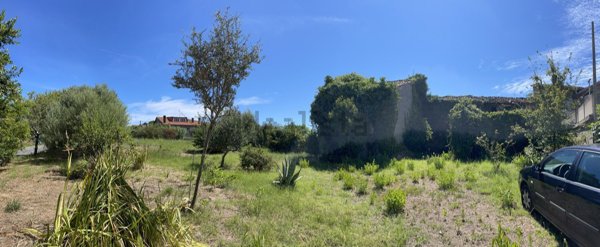 esavano in vendita a Saludecio