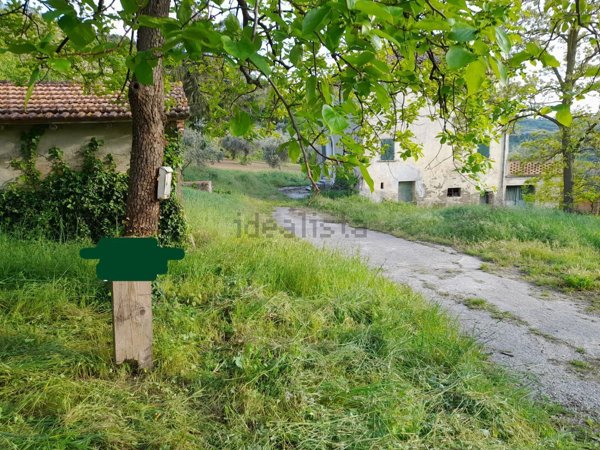 esavano in vendita a Saludecio