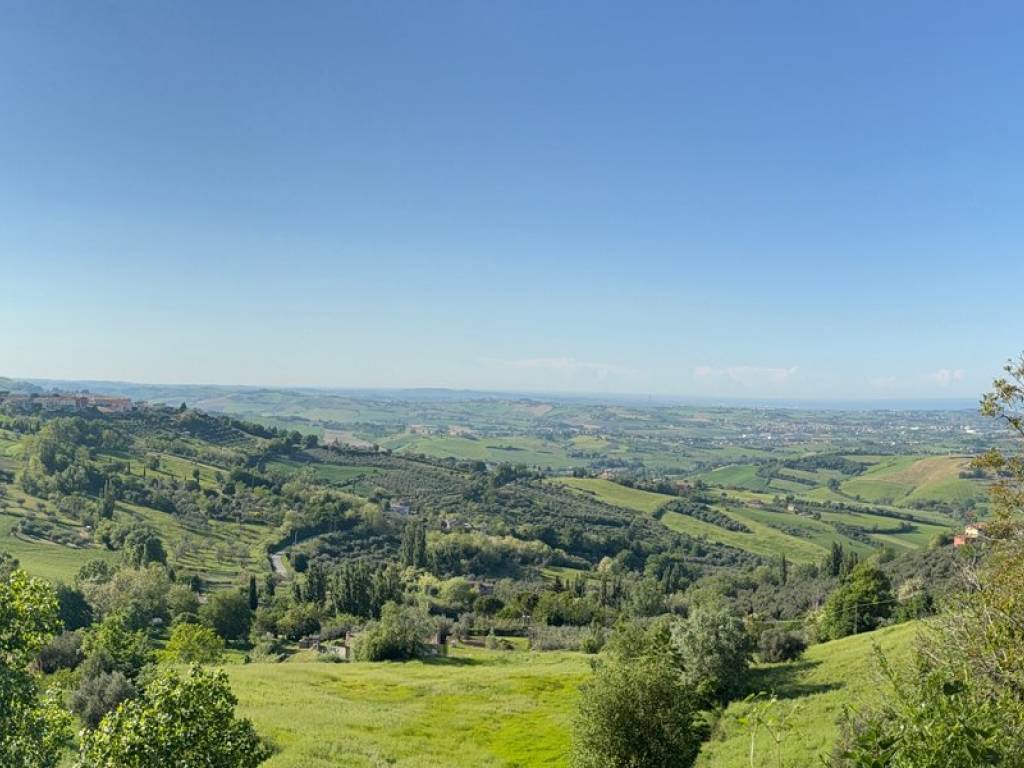 terreno agricolo in vendita a Saludecio