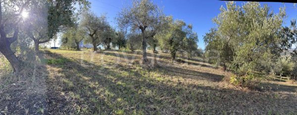 terreno agricolo in vendita a Saludecio