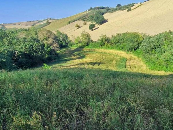 terreno agricolo in vendita a Saludecio