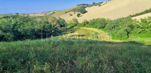 terreno agricolo in vendita a Saludecio