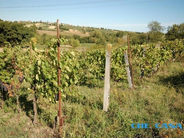 ufficio in vendita a Saludecio