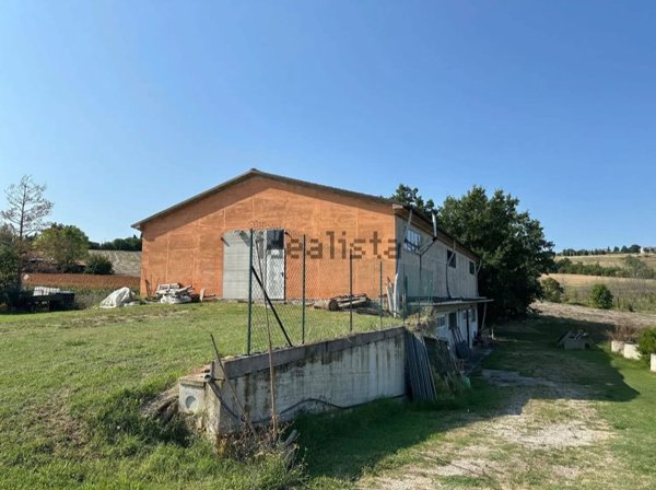 esavano in vendita a Saludecio