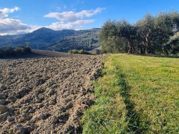 terreno edificabile in vendita a Saludecio