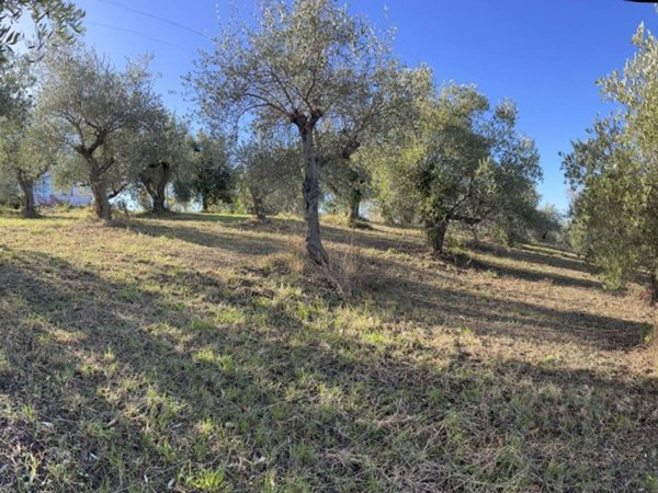 terreno agricolo in vendita a Saludecio in zona Meleto
