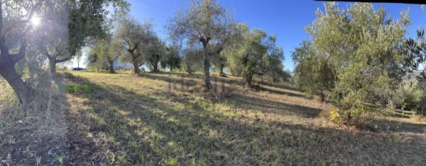 terreno agricolo in vendita a Saludecio in zona Meleto