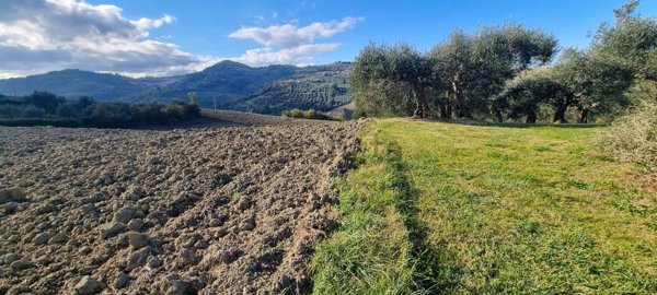 terreno agricolo in vendita a Saludecio in zona Sant' Ansovino