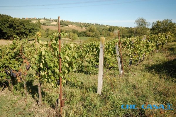 terreno in vendita a Saludecio in zona Sant' Ansovino