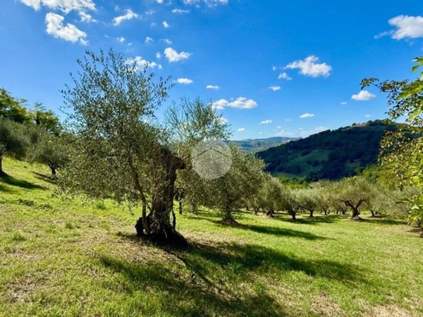 terreno agricolo in vendita a Saludecio in zona Sant' Ansovino