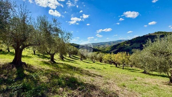 terreno agricolo in vendita a Saludecio in zona Sant' Ansovino