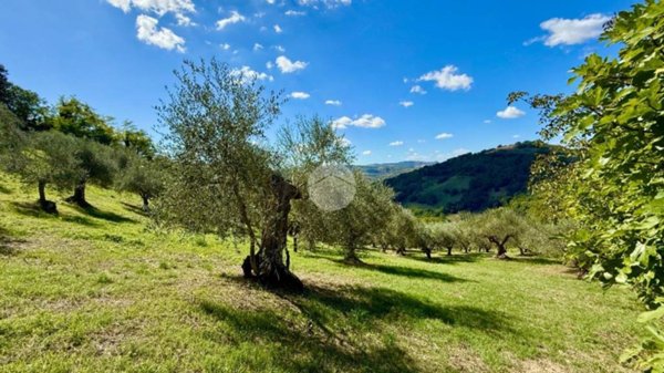 terreno agricolo in vendita a Saludecio in zona Sant' Ansovino