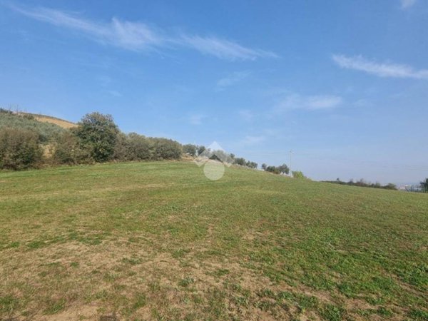 terreno agricolo in vendita a San Clemente in zona Casarola