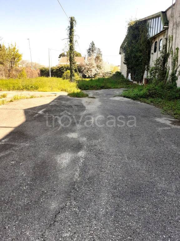 terreno agricolo in vendita a San Clemente in zona Sant'andrea in Casale