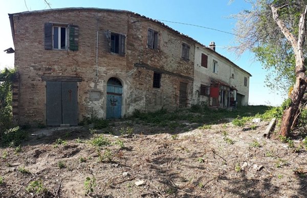 esavano in vendita a San Clemente