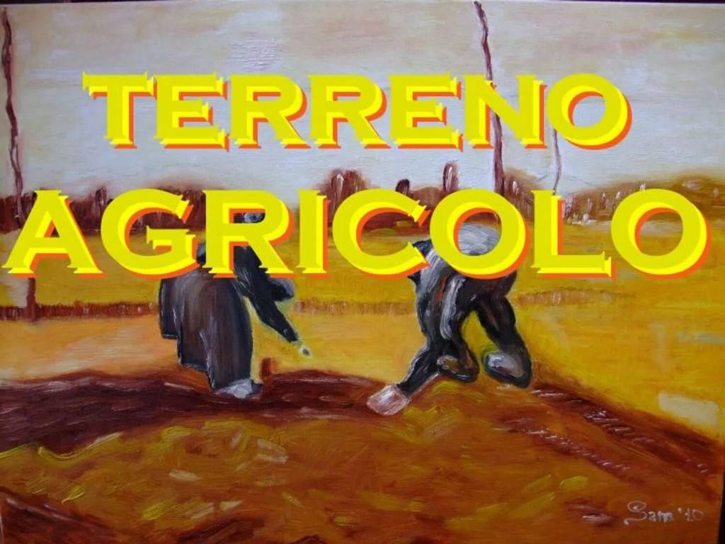 terreno agricolo in vendita a San Clemente