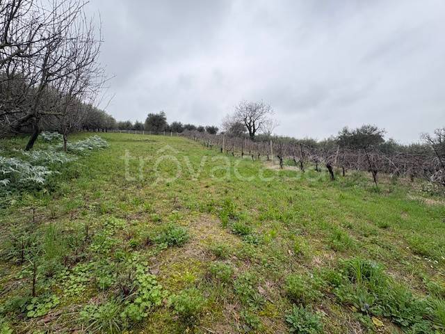 casa indipendente in vendita a San Clemente in zona Sant'andrea in Casale