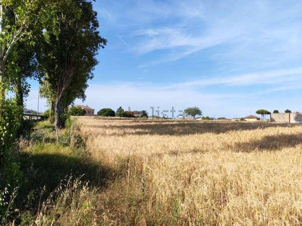 terreno agricolo in vendita a San Clemente in zona Sant'andrea in Casale