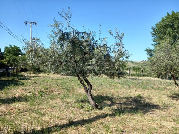 terreno agricolo in vendita a San Clemente in zona Agello