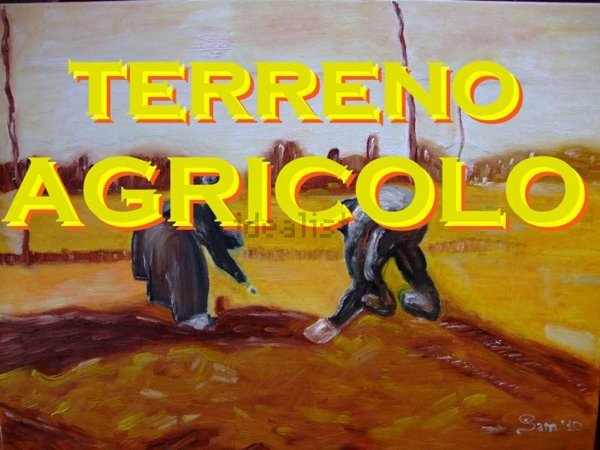 terreno agricolo in vendita a San Clemente in zona Sant'andrea in Casale