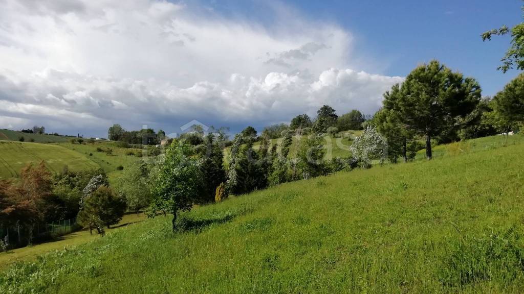 terreno agricolo in vendita a San Clemente in zona Cevolabbate