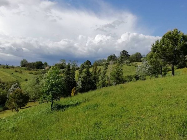 terreno agricolo in vendita a San Clemente in zona Cevolabbate