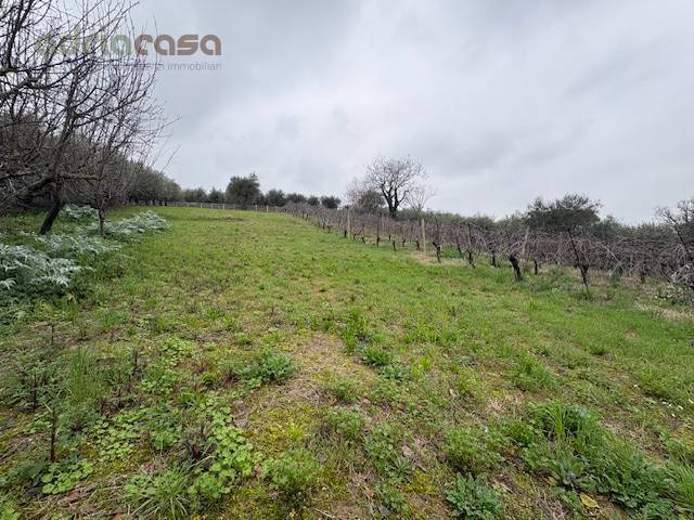 terreno in vendita a San Clemente in zona Sant'andrea in Casale