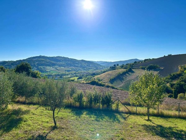 terreno agricolo in vendita a San Clemente in zona Cevolabbate