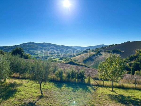 terreno agricolo in vendita a San Clemente in zona Cevolabbate