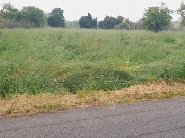 terreno agricolo in vendita a San Giovanni in Marignano