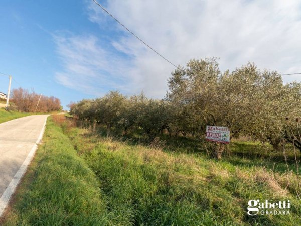 terreno agricolo in vendita a San Giovanni in Marignano