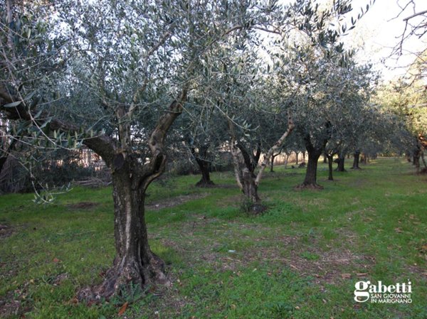 casale in vendita a San Giovanni in Marignano