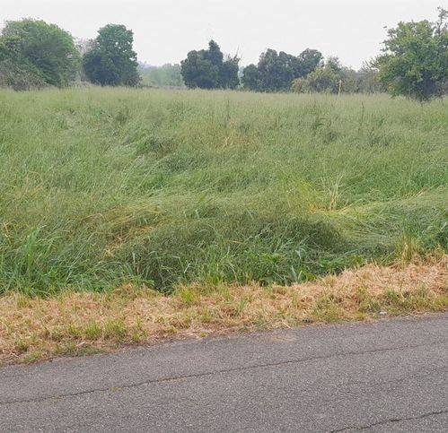 terreno agricolo in vendita a San Giovanni in Marignano