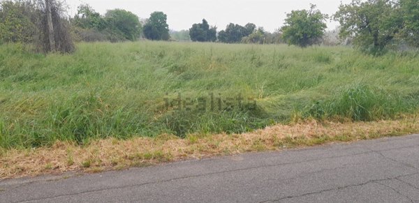 terreno agricolo in vendita a San Giovanni in Marignano
