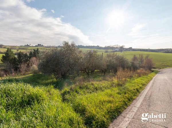 terreno agricolo in vendita a San Giovanni in Marignano